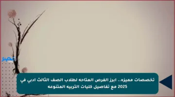 تخصصات مميزة.. أبرز الفرص المتاحة لطلاب الصف الثالث أدبي في 2025 مع تفاصيل كليات التربية المتنوعة